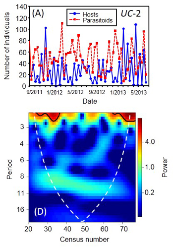 time series and wavelet analysis